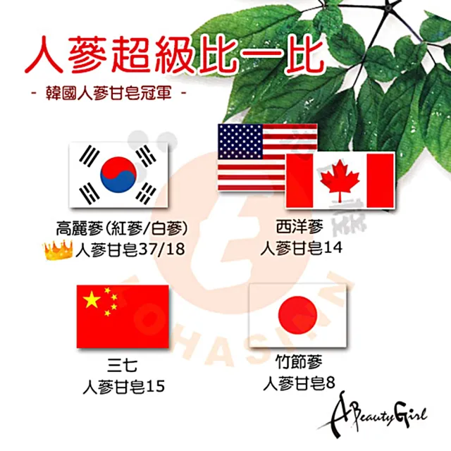 【金蔘】6年根韓國高麗人蔘蔘芝王禮盒(100ml*7瓶 共2盒)