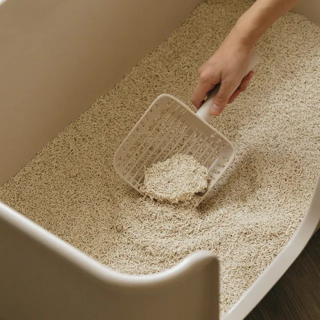 【Meow Servant 喵皇奴】SUPURE ! 極淨貓砂 2.5kg×6入(1.5mm/2.0mm極細豆腐砂)