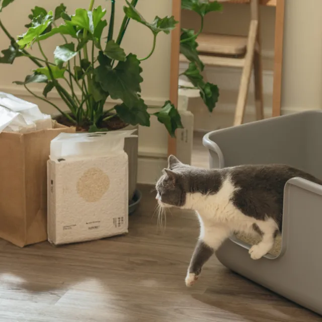 【Meow Servant 喵皇奴】SUPURE ! 極淨貓砂 2.5kg×6入(1.5mm/2.0mm極細豆腐砂)