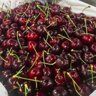 鮮採空運美國華盛頓櫻桃-5kg原裝