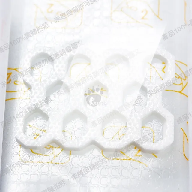 【史耐輝】透視性晶格泡棉敷料X10片(20x10cm/片)