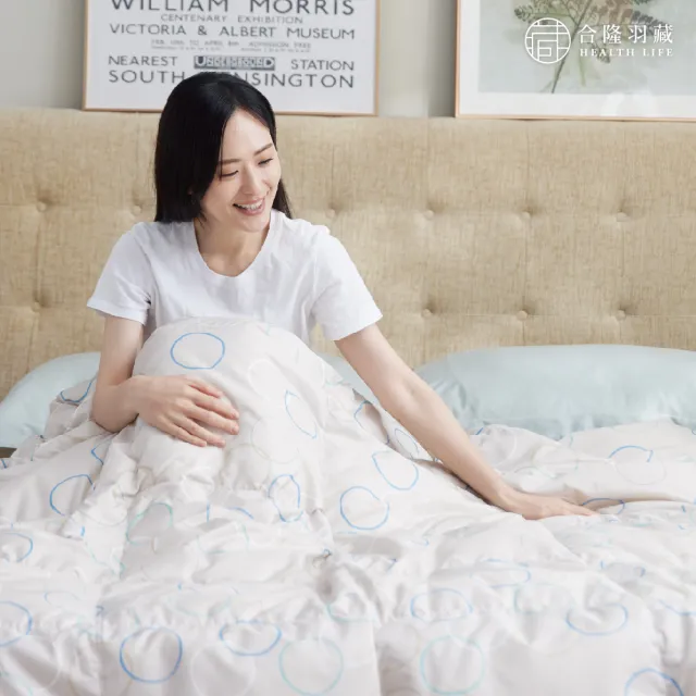 【HEALTH LIFE 合隆羽藏】羽絨の夏眠被(可水洗)