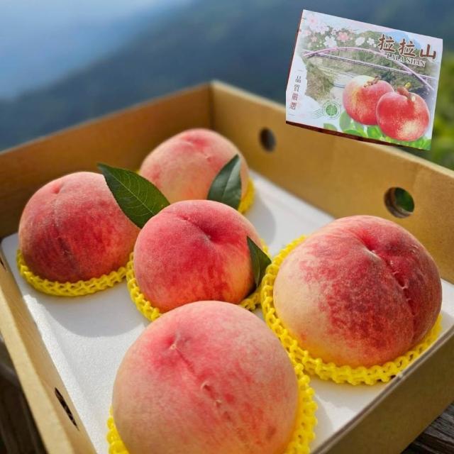 【黑貓嚴選】《桃園拉拉山》水蜜桃5入禮盒(1.5kg/盒 七月桃 產地直送)
