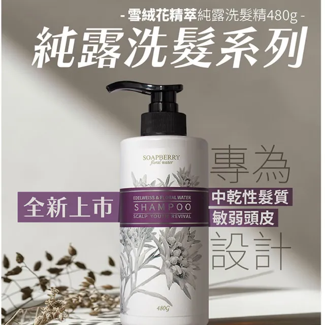 【古寶無患子】3入任選 純露洗髮精480g(玫瑰純露/薄荷/涼感/養護髮/潔淨/頭皮淨化/無矽靈/細軟髮)