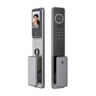 【TEW 台熱牌】A1 人臉/貓眼 智能7合1推拉式電子鎖/門鎖(指紋│密碼│卡片│鑰匙│遠端開門/含基本安裝)