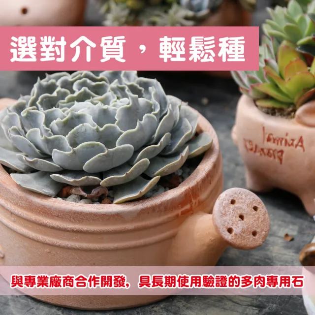 【花公主】多肉植物專用石2L(多肉植物適用/排水/透氣)