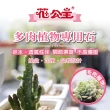 【花公主】多肉植物專用石2L(多肉植物適用/排水/透氣)