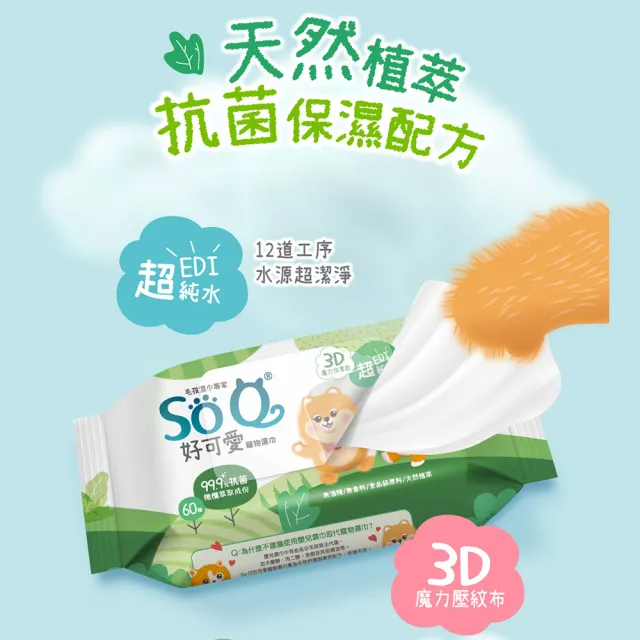 【南六】SOQ好可愛寵物濕巾 60抽x12包(足部&屁屁專用)