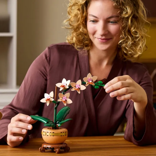 【LEGO 樂高】Botanicals 10343 迷你蘭花(居家擺設 花藝植栽 節慶禮物 玩具模型 母親節)