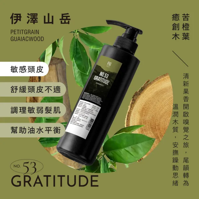 【伊聖詩】FIG 修護洗髮精480ml(多款任選/晨曦朝露/陽光普照/雨過天晴/生命之水)