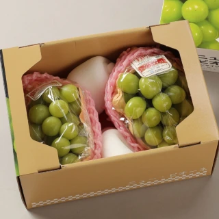 【RealShop】日本長野麝香葡萄淨重共1kg±10%x1盒(2房裝 真食材本舖 中秋禮盒)