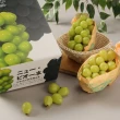 【RealShop】日本長野麝香葡萄淨重共1kg±10%x1盒(2房裝 真食材本舖 中秋禮盒)