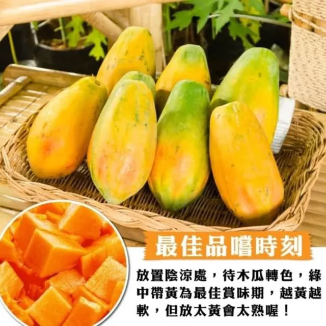 【WANG 蔬果】台農2號木瓜6斤x1箱(5-9顆/箱 果農直配/外銷等級)