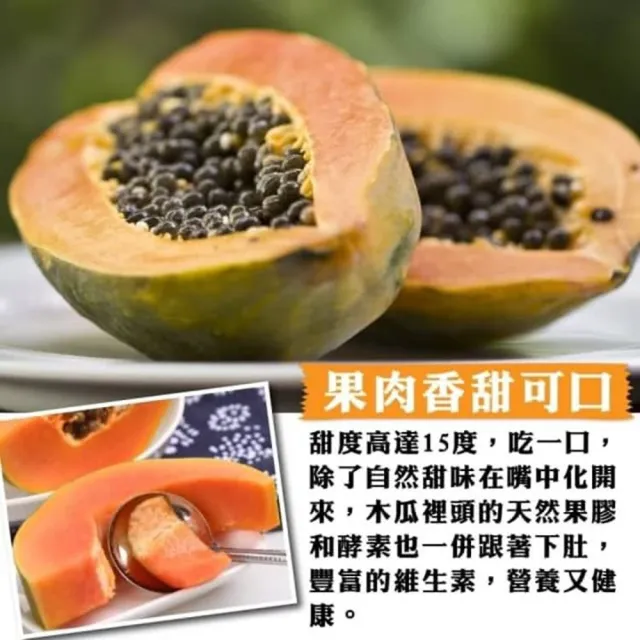 【WANG 蔬果】台農2號木瓜6斤x1箱(5-9顆/箱 果農直配/外銷等級)