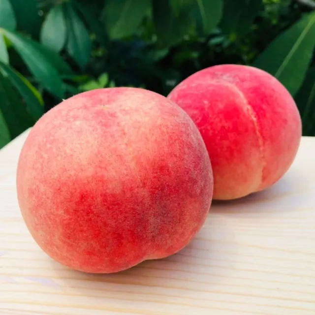 【RealShop】特大顆加州空運水蜜桃15-16顆約4.5kg x1箱(原裝 水果禮盒 空運4天抵台！)