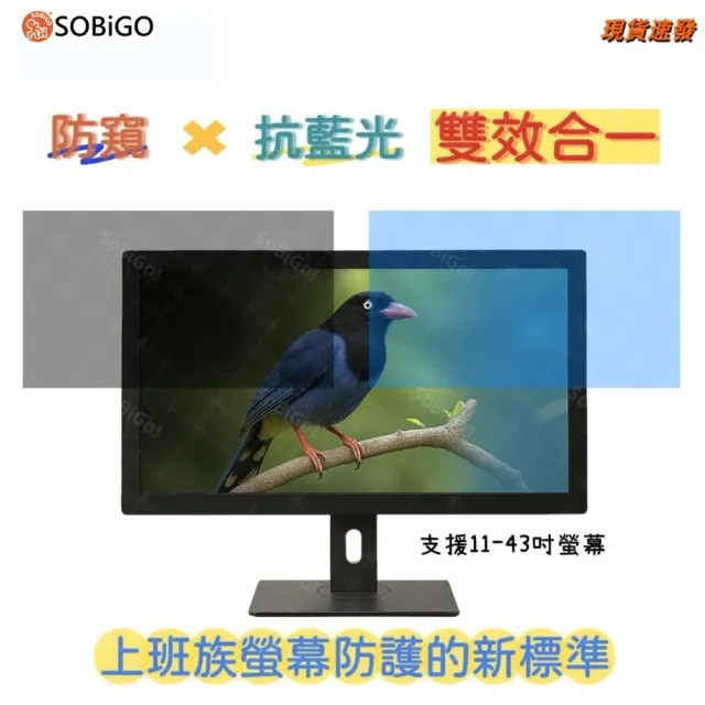 【SOBiGO!】抗藍光防窺片28吋16:9(內框尺寸621*341mm)