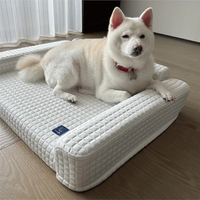 寵物沙發床