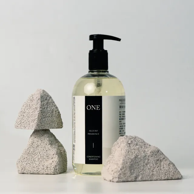 【ALLEGRINI 艾格尼】ONE系列 精華洗髮精 500ml
