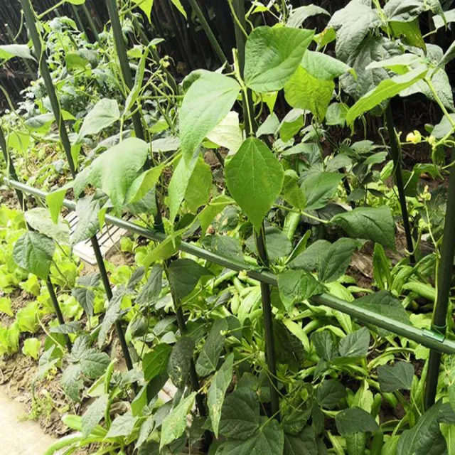 【poko】方形組合 爬藤架 180公分高(管徑20mm 棚架 藤架 植物藤架 包塑鋼管 藤蔓架 綠竹鋼管)