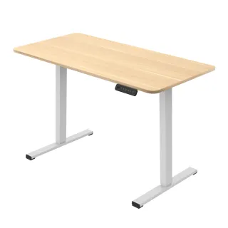 【Flexispot】LiteGo 電動升降桌 不含安裝(電動升降桌)