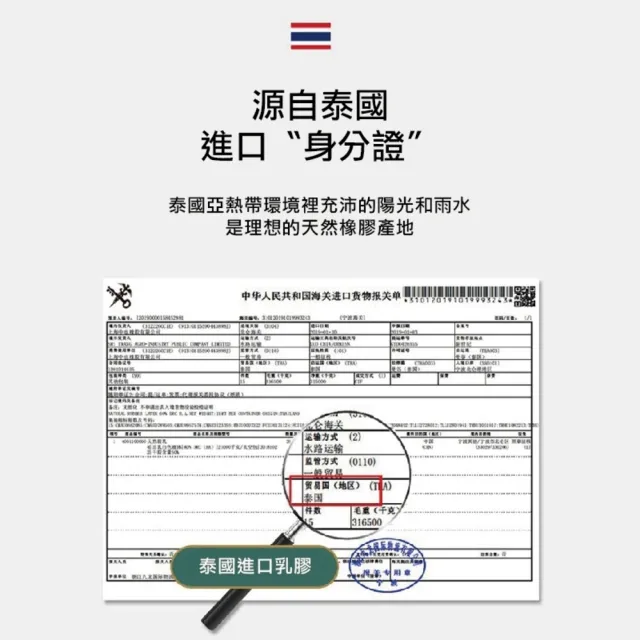 【Zhuyin】全包式加厚乳膠冰絲涼蓆 涼感乳膠涼席 雙人(冰絲涼席 冰涼墊 送枕套x2)