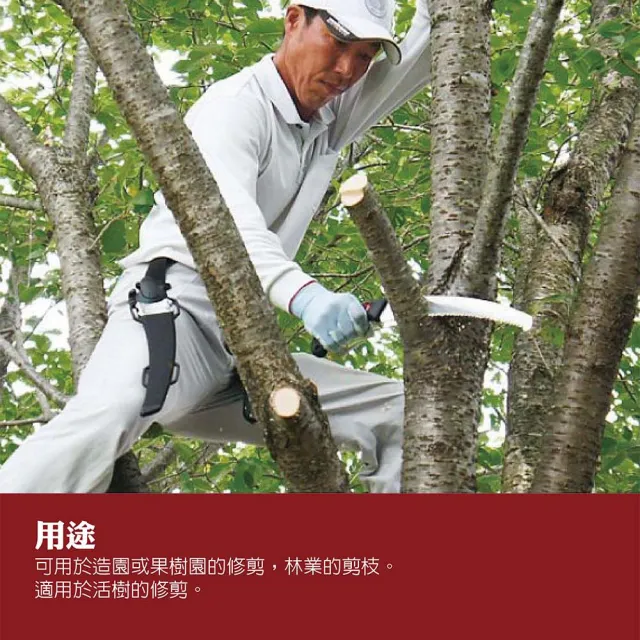【Silky 喜樂】彎鋸 270mm修枝鋸270-27(鋸子 彎鋸 木工 接木鋸 日本鋸子 剪定鋸 修枝鋸 樹枝修剪)