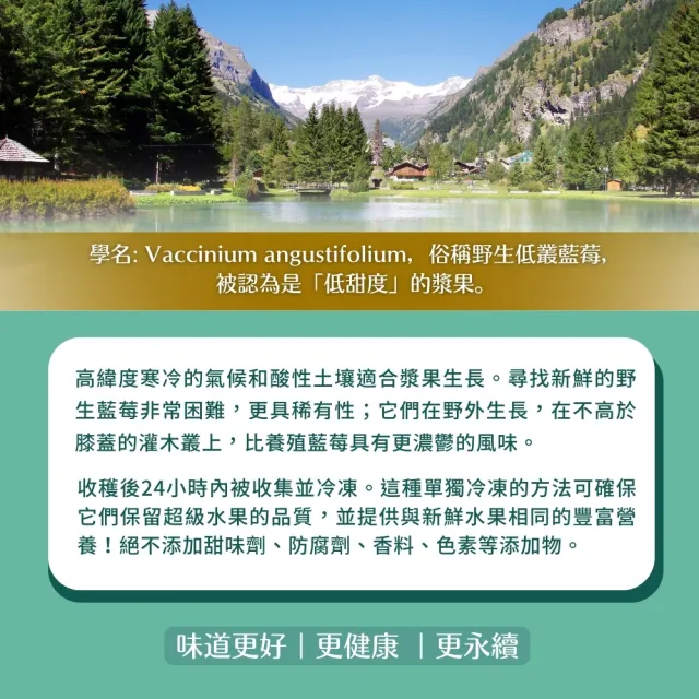 【O’natural 歐納丘】袋裝_有機野生藍莓乾80g*3袋