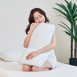 【Darphia 朵法亞】涼感可水洗獨立筒棉眠枕_加贈洗衣袋(2025新上市/臺灣製造/抗菌防蟎/絕對涼感)