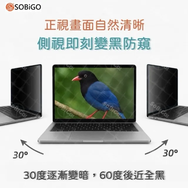 【SOBiGO!】筆電抗藍光防窺片16吋16:10(顯示區域尺寸345*215mm)