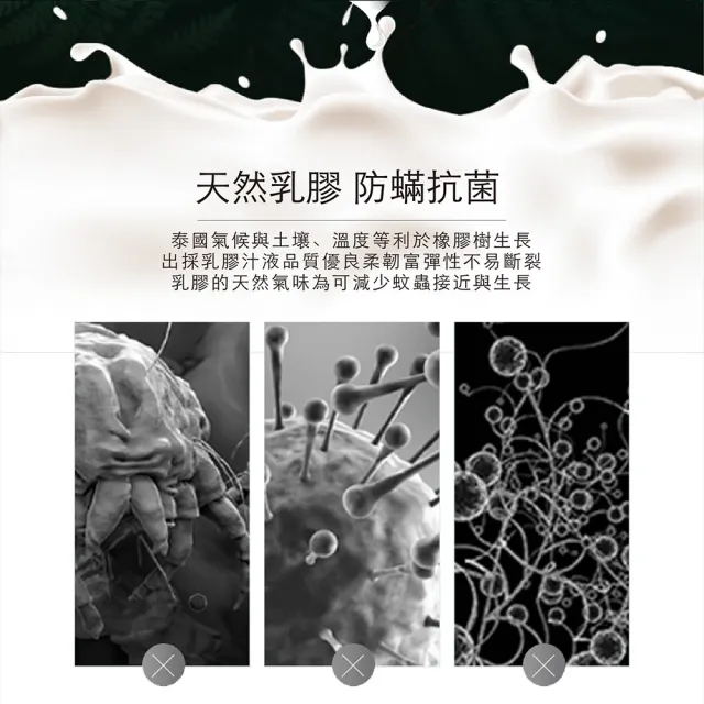 【ISHUR 伊舒爾】多款石墨烯乳膠枕1入 多款任選(贈天絲枕套1入/泰國乳膠/釋放遠紅外線/枕頭/速達)
