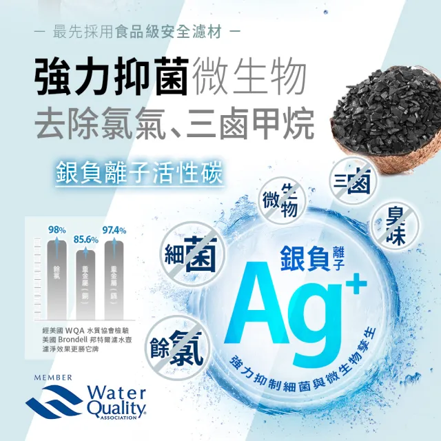 【Brondell】美國邦特爾 H2O+ 八周長效濾芯（6入）