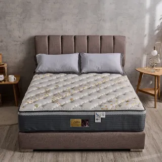 【SLIM】石墨烯能量乳膠記憶膠硬式獨立筒床墊(雙人加大6尺)