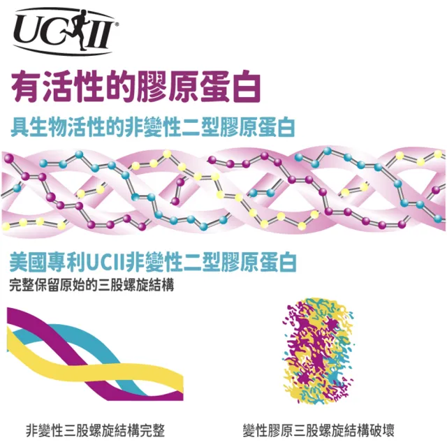【愛營養 iNutrition】‖追趕跑跳碰‖ - UCII 膠原蛋白膠囊 - 8盒囤貨組(60粒/盒;8盒囤貨組)