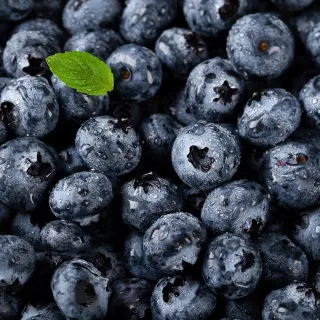 【蔬果邸家】當季野生冷凍藍莓200克x10盒