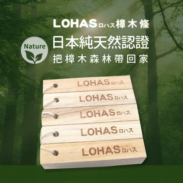 【LOHAS】日本純天然無毒香樟木條240入(鞋櫃鞋盒櫥櫃專用/除濕防黴/除蟲驅蟲/除臭天然原木清香)