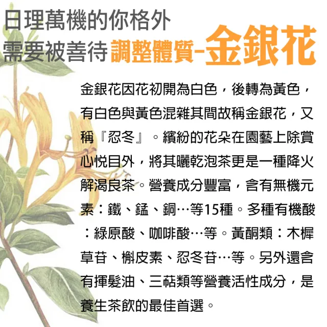 【蔘大王】金銀花鎮守茶包X4組（6gX10入/組）長效期版(啟動安全 關鍵時刻 補氣強身 防護維持)
