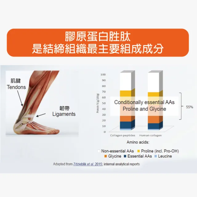 金奇兒-活力補膠 頂級膠原蛋白胜肽-30入盒 德國專利成分(軟骨增生修復 緩減關節軟骨磨損)
