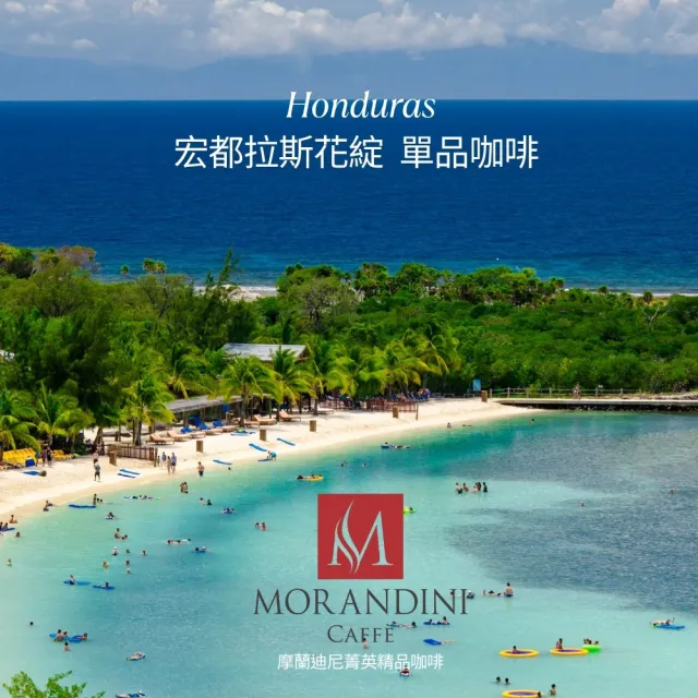【MORANDINI 摩蘭迪尼菁英精品咖啡】宏都拉斯花綻 單品咖啡豆1公斤(新鮮到貨、頂級精品咖啡的單品代表)