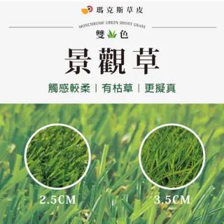 【台灣雞絲頭】瑪克斯耐侯型人工草皮(戶外商品｜室內裝飾用｜操場使用 行人標示用｜鐵皮用｜超耐潮耐曬)