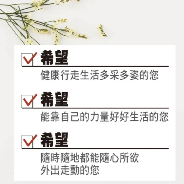 【Suntory 三得利】固力伸 60日(6錠 x 60包)