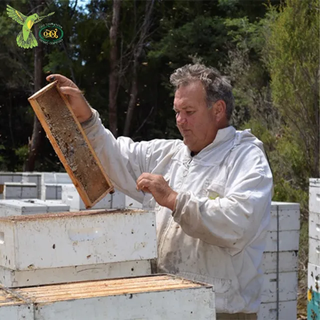 【THE TASMANIAN HONEY COMPANY】澳洲塔斯馬尼亞島野生花蜜生蜂蜜-500g(Wild Flower)