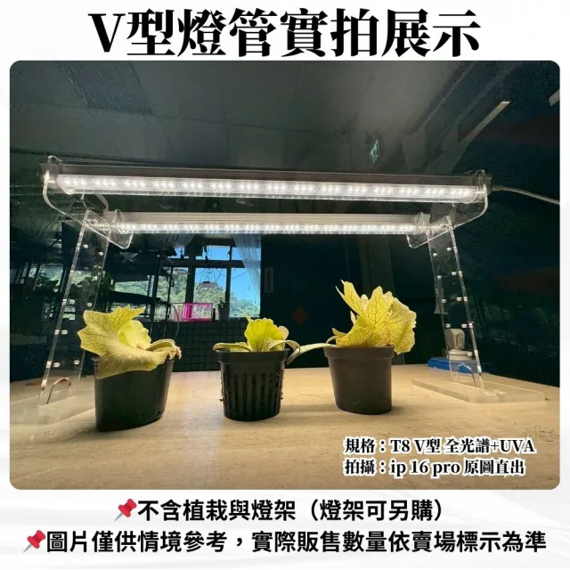 【JIUNPEY 君沛】2入組 T8一體式V型植物燈管 4呎50W 全光譜+UVA(植物生長燈)