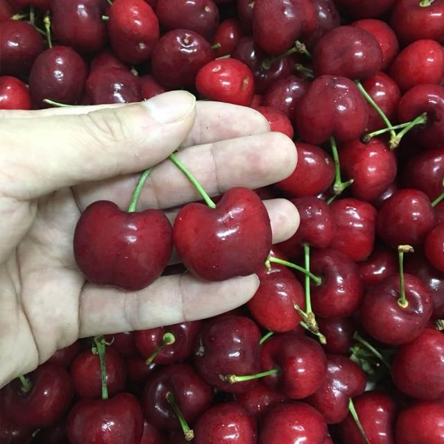 【水果達人】美國櫻桃9.5R禮盒*1箱(1kg/箱)寄出日(下訂日1-3天出貨)