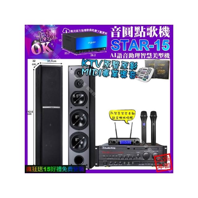 【音圓】STAR-15+AudioKing PRO-X6+TDF M-6+JBL VM-300(卡拉OK組合/音響設備)