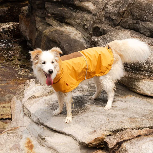 【CAMPET】Shield-X 全境防水雨衣-日落黃-XL-2XL(寵物全防水雨衣)