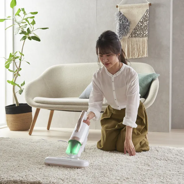 【日本IRIS】史上最強-大拍5.0 雙氣旋除塵蟎機-HEPA13銀離子限定版