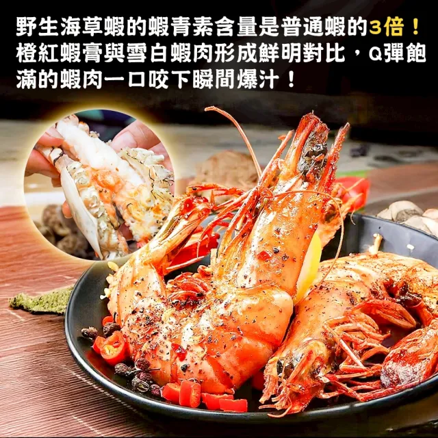 【三頓飯】巨無霸野生海草蝦(4盒_6-7尾/淨重500g)