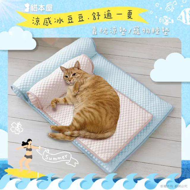 【貓本屋】冰絲涼感 豆豆寵物睡墊靠枕(L號/60x40cm)