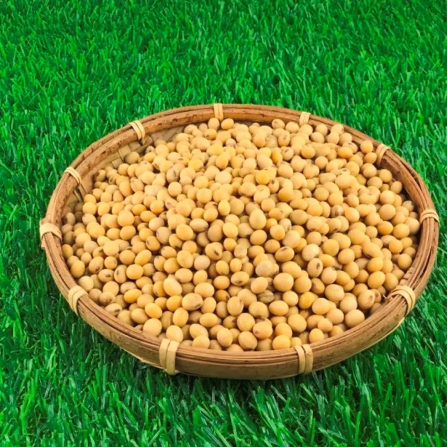 【台灣小農契作非基改黃豆/非種子】台灣黃豆-1kg(適合在家自己製作豆漿、豆腐、豆花..)