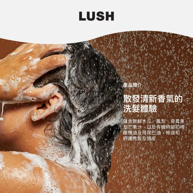【LUSH 嵐舒】Rehab 水果特調洗髮露 100g(洗髮精/修護/亮澤/調理頭皮/溫和清潔)